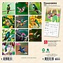2026 BrownTrout Hummingbirds 7" x 7" Monthly Wall Calendar (9798330703791)~#|#~E02F2299-CBB5-43F8-96A059A476C270BA_sc7