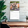 2026 BrownTrout Bulldogs 12" x 12" Monthly Wall Calendar (9798330703210)~#|#~E04455AD-91A3-447B-AD2CB9457B8E96BB_sc7