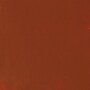 Liquitex BASICS Acrylic Paint Tube, Burnt Sienna, 250 mL (LIQ4385127)~#|#~E07745E7-4E92-4447-84D296725861EE46_sc7