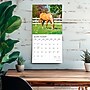 2026 Plato Magnificent Horses 12" x 12" Monthly Wall Calendar (9798330706846)~#|#~E12F782B-F3AD-44C2-B99294E08184D249_sc7