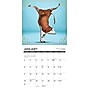 2027 Willow Creek Cow Yoga 7" x 7" Monthly Wall Calendar (63965)~#|#~E18F80A9-FA98-4572-8ED3FF58661430EC_sc7