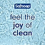 Softsoap Antibacterial Ready To Use Liquid Soap, Sparkling Pear Scent (US07326A)~#|#~E28EAF78-7172-4DCE-A70F6D7931D7E03D_sc7