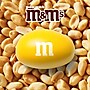 M&M's Peanut Milk Chocolate Pieces, 1.74 oz., 48/Box (MMM01232)~#|#~E2A07C08-E453-4833-B1E79F243CAF5683_sc7