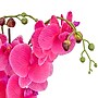 National Tree Company 21" Purple Orchid Flower in Wood Box (MT81-PH0354PPR)~#|#~E2F79D5C-925F-4CD9-A7F48C8468052AE2_sc7