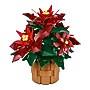 LEGO Botanicals Poinsettia, 608 Pieces (10370)~#|#~E2FA0C5E-1A09-402A-A10BD73DB8B2555E_sc7
