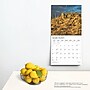 2025 Plato Motivation 12" x 24" Monthly Square Wall Calendar, (9781975478834)~#|#~E31B723A-E56D-4F39-909341165BA1FC7E_sc7
