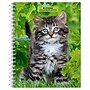2025 BrownTrout Kittens 6" x 7.75" Weekly Engagement Planner, Paper Cover, Multicolored (9781975473136)~#|#~E358623D-8198-4219-A46D91BC951E8D22_sc7