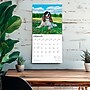 2026 BrownTrout English Springer Spaniels 12" x 12" Monthly Wall Calendar (9798330703227)~#|#~E38B9D43-EB8A-43F2-878A354CE1176187_sc7