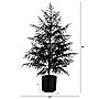 Nearly Natural Artificial Halloween Real Touch Black Norfolk Pine Christmas Tree, 4' (T5242)~#|#~E3B3CAC2-75E6-4B92-9064D06AEF7C88D2_sc7