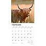 2026 BrownTrout Highland Cows 12" x 12" Monthly Wall Calendar (9798330703630)~#|#~E3FA93D2-044F-42F9-949158B577ABBFDC_sc7