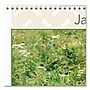 2026 AT-A-GLANCE Puppies 15.5" x 22.75" Monthly Wall Calendar (AAGDMW16728)~#|#~E4BF9B1B-FB85-4603-8B326088AB8B7CB6_sc7