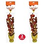 Beistle Fall Gleam 'N Spray Centerpieces, 2/Pack (90582)~#|#~E4E4CBC3-9D2A-4843-96DDC908C7550A5C_sc7