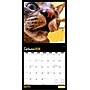 2026 BrownTrout Cat Selfies 12" x 12" Monthly Wall Calendar (9798330702794)~#|#~E54317C1-AF80-4E03-8D55DC0022538A56_sc7