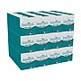 Angel Soft Professional Series Standard Facial Tissue, 2-Ply, 96 Tissues/Box, 36 Boxes/Pack (46580)~#|#~E561396B-A236-4553-9F2A125D30840463_sc7