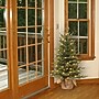 National Tree Company 3' Pre-Lit Nordic Spruce Artificial Christmas Tree (PENS1-333-30-1)~#|#~E56E01B1-2C10-45F7-8126F20520655747_sc7