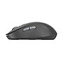 Logitech Signature Plus M750 Wireless Ergonomic Curved Ambidextrous Optical Mouse, Graphite (910-007510)~#|#~E5CE14E8-ECD4-4EC2-84D4D1B4B0B94B40_sc7