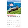 2026 BrownTrout Jackasses 12" x 12" Monthly Wall Calendar (9798330703982)~#|#~E5F6C465-BC60-48EE-A411E0EA79FF57D6_sc7