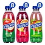 Snapple Juice Drink Variety Pack, 20 oz., 24/Pack (220-00813)~#|#~E66858A1-6143-4EE8-AC12AED17E26BFC8_sc7