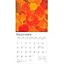 2026 BrownTrout Psalms 12" x 12" Monthly Wall Calendar (9798330705207)~#|#~E6894F8C-C3C1-49DB-BAB98AE1461DBBEB_sc7