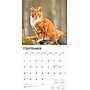 2026 BrownTrout Maine Coon Cats 12" x 12" Monthly Wall Calendar (9798330704460)~#|#~E6B5BA1F-FF72-4C0E-BD5743AB45318A0D_sc7