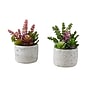 Monarch Specialties Inc. 9" Artificial Succulent Plant in Pot, 2/Set (I 9366)~#|#~E6D1D270-3359-4AF8-8826F9A961D36898_sc7