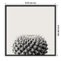 Amanti Art Haze Cactus Succulent by The Creative Bunch Studio Wood Framed Wall Art Print, 33" x 33" (A42675345780)~#|#~E6D501F8-80ED-4169-9E045DD405EF80DE_sc7