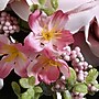 National Tree Company 19" Pink Rose Bundle (RAS-H19817PK-1)~#|#~E702B5E1-09E4-4B18-BFAF0082C2178378_sc7