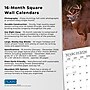 2026 Plato Monster Bucks 12" x 12" Monthly Wall Calendar (9798330706884)~#|#~E70E5D40-5B81-455F-AB2E6761B6A582B9_sc7