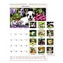 2025 AT-A-GLANCE Puppies 15.5" x 22.75" Monthly Wall Calendar (AAGDMW16728)~#|#~E792D603-A051-49F3-8068F107090F054A_sc7