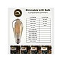 Viribright 5 Watts Warm White LED Decorative Bulb, 6/Box (ST19/641350/6)~#|#~E7C3B37D-47C1-41CE-B8347E626CBE7621_sc7