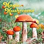 2026 Brush Dance Magic Mushrooms 12" x 12" Monthly Wall Calendar (9798330706570)~#|#~E7F6CBCB-3247-442F-B8FD6ECFBC125C18_sc7