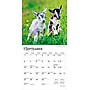 2026 BrownTrout Baby Goats 7" x 7" Monthly Wall Calendar (9798330702251)~#|#~E8483F2E-6E68-4217-87E1B64E46494E4A_sc7