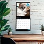 2026 BrownTrout Cat Selfies 12" x 12" Monthly Wall Calendar (9798330702794)~#|#~E8F26A92-89F6-495F-94A38032C3FAE6AD_sc7