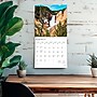 2026 BrownTrout The West 12" x 12" Monthly Wall Calendar (9798330706303)~#|#~E8FD97AA-C828-4C56-81762A2C0BAAEA48_sc7