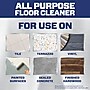Mr. Clean Professional Liquid Concentrate All Purpose Floor Cleaner, Lemon Scent, 1 Gallon (02621)~#|#~E91BA207-00BD-46E6-B8E802A48D04041A_sc7