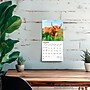2026 BrownTrout Highland Cows 7" x 7" Monthly Wall Calendar (9798330703623)~#|#~E9282759-CC76-47A8-966914355568F7C9_sc7