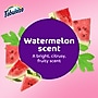 Fabuloso 2X All-Purpose Cleaner, Watermelon Scent, 169 oz. (61051624)~#|#~E9D7930B-A8DF-4325-9E99F06A603E47C5_sc7