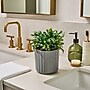 Lifelines Fir Needle & Pine Evaporative Aromatherapy Essential Oil Boxwood Plant Diffuser (11-1611)~#|#~E9F852B4-CCCD-412D-B8202A8AF71F5ED4_sc7