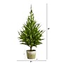 Nearly Natural Cedar Pine Natural Look Artificial Tree in Decorative Planter, 3.5' (T1512)~#|#~E9F94EB0-84C9-4DDE-AEC183F5F46E398B_sc7
