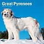 2027 BrownTrout Great Pyrenees 12" x 12" Monthly Wall Calendar (9798330712496)~#|#~EAA7C175-B1FC-4556-884683FD06CCD3F7_sc7