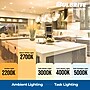 Bulbrite 14W Adjustable 5/6" Integrated LED Recessed Downlight with E26 Quick Connect, 2700K Warm White, 1100 Lumens, 4/Pack~#|#~EAB28997-2630-4357-917546B30C5D069F_sc7