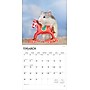 2026 BrownTrout Rats 12" x 12" Monthly Wall Calendar (9798330705313)~#|#~EAB358A3-2F77-47A5-996709F9236BCC74_sc7