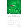 2027 BrownTrout Magic Mushrooms 12" x 12" Monthly Wall Calendar (9798330714025)~#|#~EAED4328-8E1E-4C15-B51A459E73CB0D3C_sc7