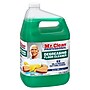 Mr. Clean Professional Degreasing Floor Cleaner, Clean Scent, 1 Gallon (19858)~#|#~EB42B520-2AD3-4FBD-96F4FDC26B345E25_sc7