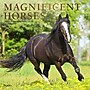 2026 Plato Magnificent Horses 12" x 12" Monthly Wall Calendar (9798330706846)~#|#~EB699EF7-E0B2-4151-B66309A2AE9AA24C_sc7