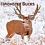 2026 BrownTrout Monster Bucks 12" x 12" Monthly Wall Calendar (9798330704682)~#|#~EBBCF329-00A3-422F-A511B4D37D238900_sc7