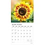 2026 Plato Sunflowers 12" x 12" Monthly Wall Calendar (9798330706655)~#|#~EBE918C5-E8B6-4882-858B9DD485823D77_sc7