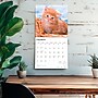 2026 BrownTrout Ginger Cats 12" x 12" Monthly Wall Calendar (9798330703425)~#|#~EBFA5AB4-9978-4D21-8D3AAA607EE59F90_sc7