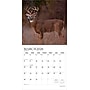 2026 Plato Monster Bucks 12" x 12" Monthly Wall Calendar (9798330706884)~#|#~ED232BD0-72EF-4891-B3FD44FBC3F0AA23_sc7