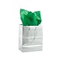 JAM Paper 20" x 26" Tissue Paper, Green, 20 Sheets/Pack (1152352A)~#|#~EE5B31AB-529A-4E40-AB2F37AB71EABDA0_sc7